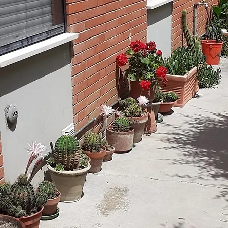 Apartmán La Sterlizia