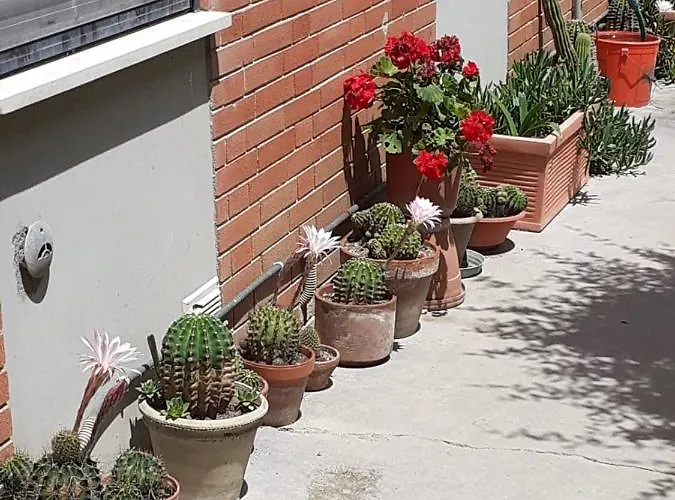 Appartement La Sterlizia
