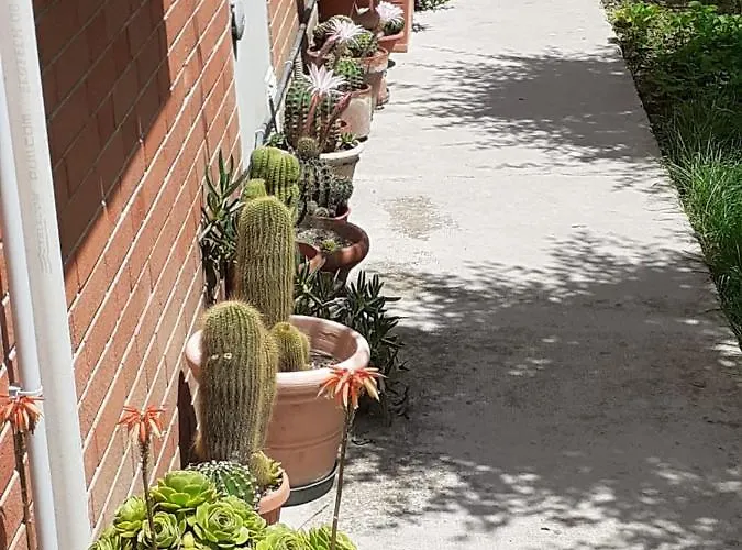 Appartement La Sterlizia *